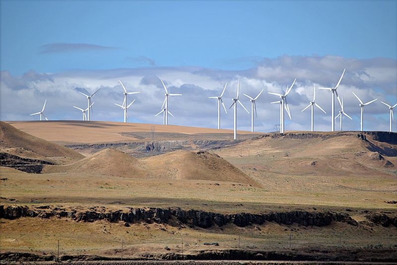 845 MW Shephard’s Flat Windfarm in Oregon.  Photo by Steve Wilson.  Licensed under the Creative Commons Attribution 2.0 Generic License.  Retrieved from https://en.wikipedia.org/wiki/Renewable_energy_in_the_United_States.  Last accessed 4/23/16.