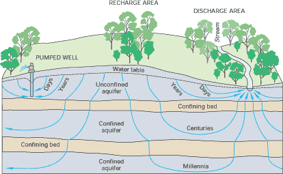 Groundwater flow paths vary greatly in length, depth, and traveltime from pints of recharge to points of discharge in the groundwater flow system.  Image from: https://pubs.usgs.gov/circ/circ1139/htdocs/natural_processes_of_ground.htm, last accessed 6/9/17.