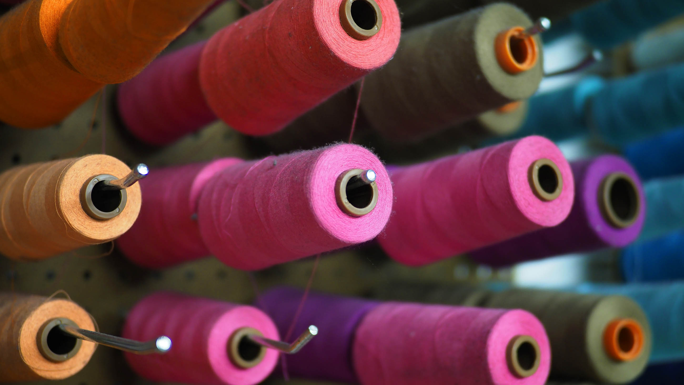 Thread stock at Opportunity Threads in Morgantown, North Carolina. The growing co-op is nimble enough to sustain multiple orders of custom cut-and-sew products for clients across the country. Image by Larry C. Price. United States, 2016.