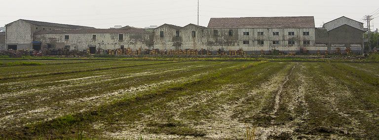 The farmlands surrounding this tile factory in Dingshu are no longer suitable for growing crops because of heavy metal contamination. Image by Wu Di. China, 2014.