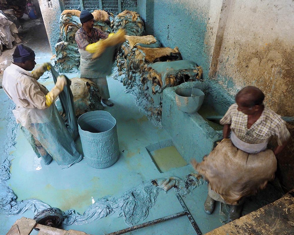 At a tannery near Vaniyambadi, Tamil India, workers handle hides that have been soaking in buckets filled with a chromium solution. The chromium bath produces a tanned leather known at this stage of the process at “wet blue.” Image by Larry C. Price. Bangladesh, 2016.